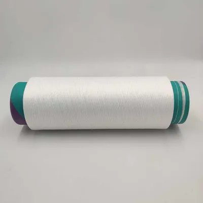 Polyester Yarn Full Dull DTY 50d/72f Fd RW SIM SIM/Nim/Him
