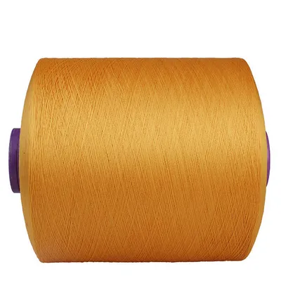 Color Polyester DTY High Elastic Polyester Filament 75D 150d 300d for Upper