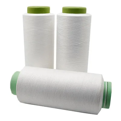 Wholesale 300d/96f SD RW Polyester Textured Yarn DTY Nim SIM Him AA Grade 300 Denier Polyester Yarn