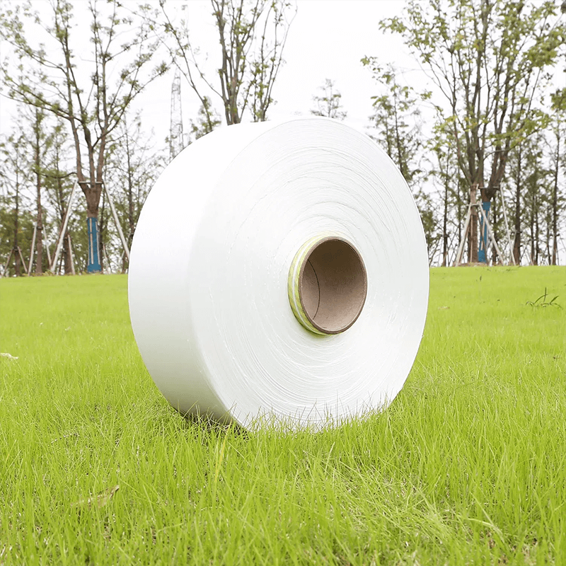 Native Polyester